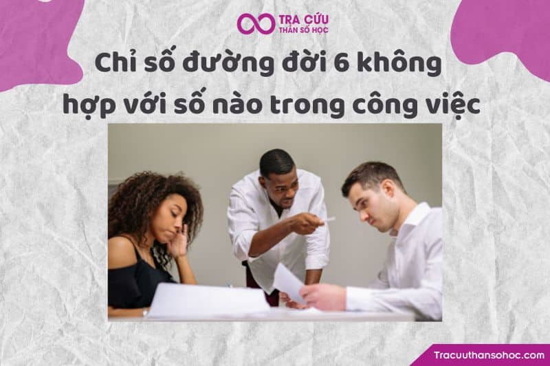 Chỉ số đường đời 6 không hợp với số nào trong công việc