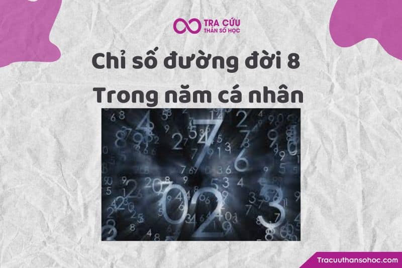 Chỉ số đường đời 8 trong năm cá nhân