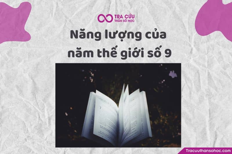 Năm thế giới số 9 mang năng lượng vị tha sâu sắc, hướng đến cộng đồng và các giá trị nhân văn.